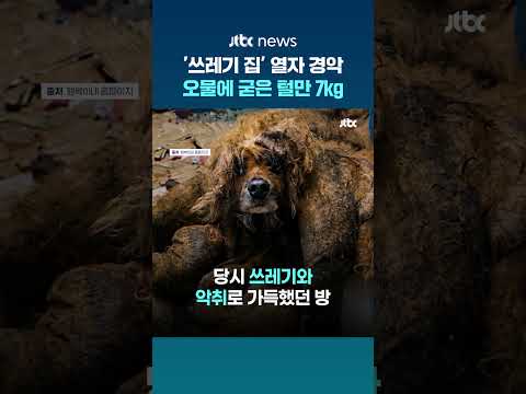 오물에 굳은 털만 7kg...'쓰레기 빌라' 방치된 개 긴급 구조 #JTBC #Shorts thumbnail