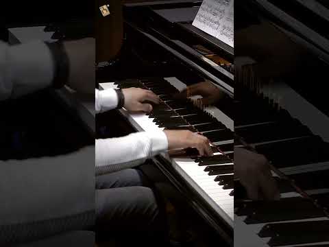 Dvorak: Slavonic Dance Op. 72 No. 2 | Piano: Vadim Chaimovich thumbnail