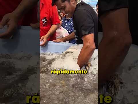 ¡El vendedor desconocía el nivel de inteligencia del cliente! 👀 thumbnail