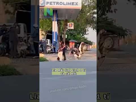 Lia mắt linh tinh 1 tí và cái kết thumbnail