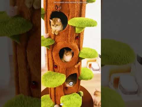“Title” kelimesinin Türkçesi **“Başlık”**tır. #shorts thumbnail