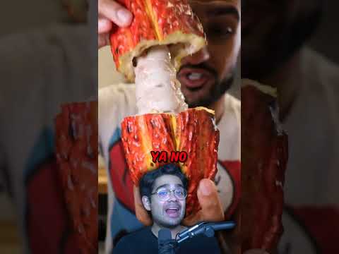 TikTok Dice Que La Comida Se Siente FALSA thumbnail