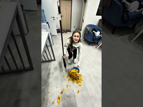 Lapka Velcro ,cat mode very funny 😹😂 thumbnail