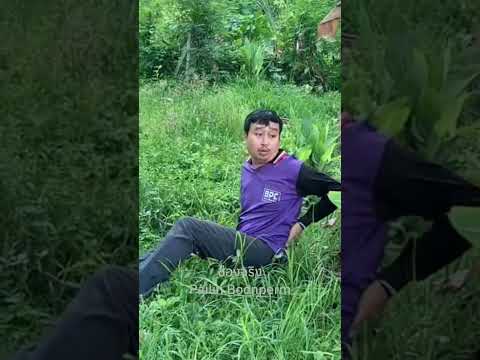 #สาวเต้ยมักม่วน #쩐다 #funny #comedy thumbnail