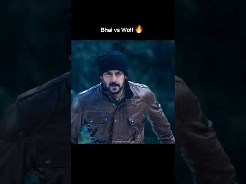 #SalmanKhan’s SAVAGE Tiger Entry Still Gives GOOSEBUMPS 🐺🔥 #TigerZindaHai #ActionThriller thumbnail
