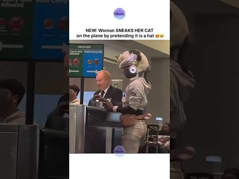 NEW: Woman SNEAKS HER CAT on the plane by pretending it is a hat 🧢 thumbnail