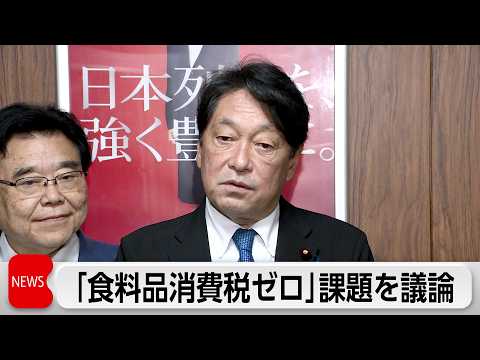 自民党税制調査会　食料品消費税ゼロ導入に向けた課題を議論 thumbnail