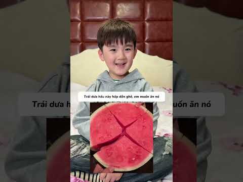 MẤY TRÁI DƯA NÀY CÓ ĂN ĐƯỢC KHÔNG? thumbnail