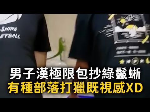 男子漢極限包抄綠鬣蜥　有種部落打獵既視感XD thumbnail