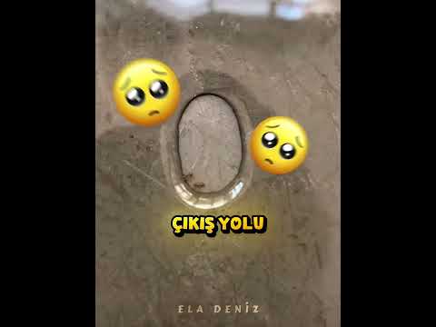 Son Kez Birbirlerine Sarıldılar 💔🐜 thumbnail