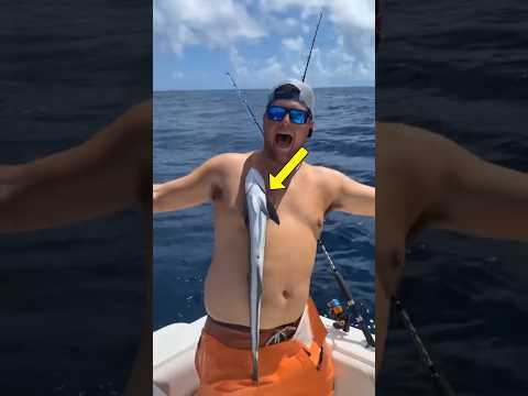 Why This Fish Sticks to Sharks thumbnail