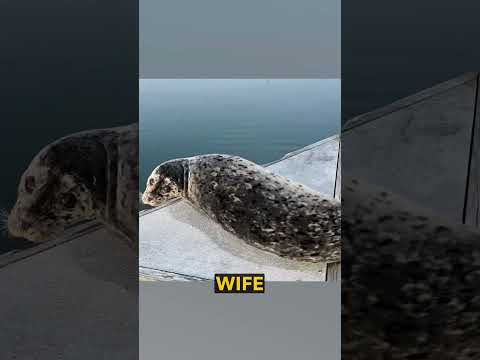 Who Smells More? Ozzy Man Quickies thumbnail