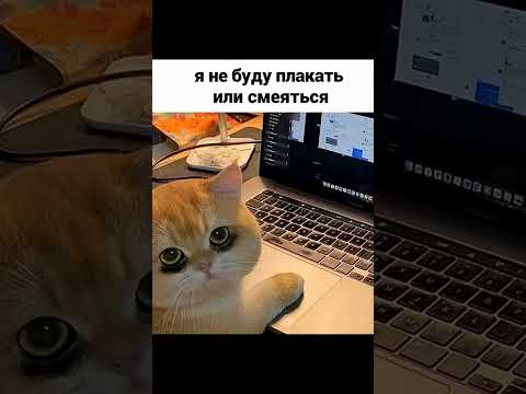 Мем про недосып thumbnail