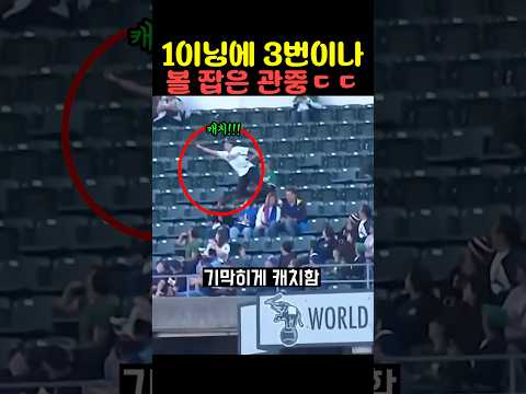 1이닝에 3번이나 볼 잡은 관중ㄷㄷ thumbnail