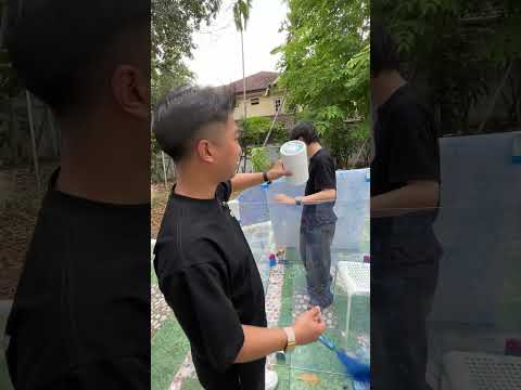 ดูฝุ่นดิ thumbnail