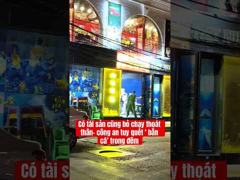 Dính vào bắn cá dễ đi tò thumbnail
