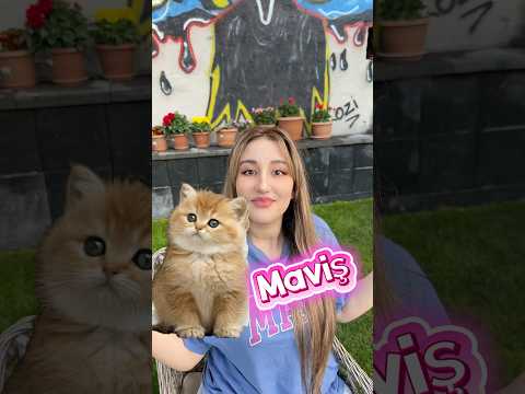 Kızların vs erkeklerin kedilere koyduğu isimler ￼ thumbnail