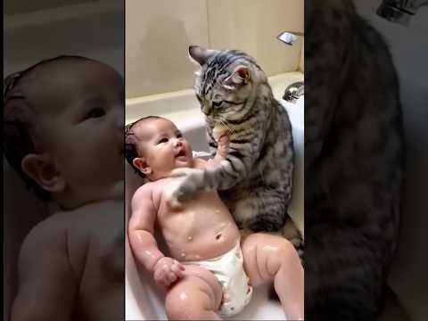 WOA - Cute - Cat as a babysitter ??? #funny #cute thumbnail