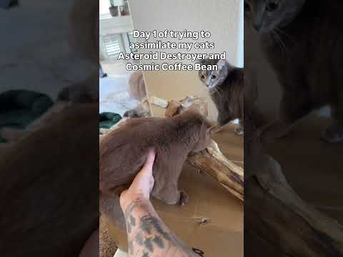 Immediate fail thumbnail