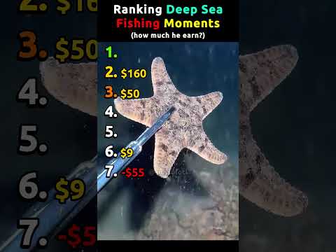 Ranking Deep Sea Fishing Moments Pt.11 | How much he earn? #deepsea thumbnail