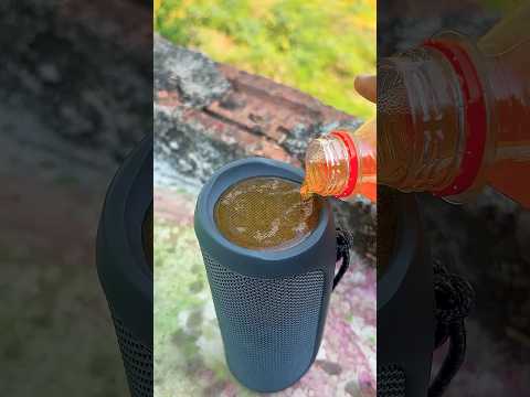 coco cola camps bass test thumbnail