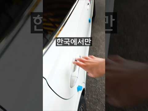 한국인도 몰랐던 한국에서만 가능한 분실 꿀팁 thumbnail