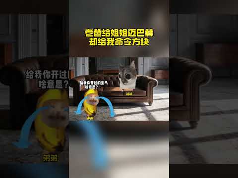 家住济南经十路，爱种点树#猫meme #猫meme剧场 #宝马 #误闯天家 #命令方块 thumbnail