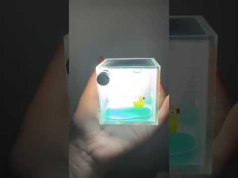 ▶️ Tiny Duck Pool Night Lamp Adds Cute Cozy Glow ( # 3283 ) thumbnail