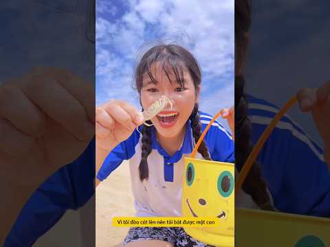 Tiểu Bông hiệu ứng Domino 81 ? #shorts thumbnail
