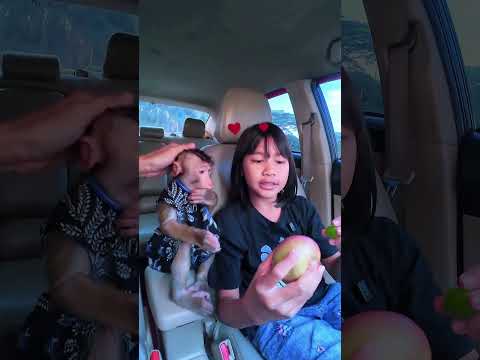 Buah anggur pavorit Cia gak mau yang lain🤭 #shortvideo #short #monkey #monyet #funny thumbnail