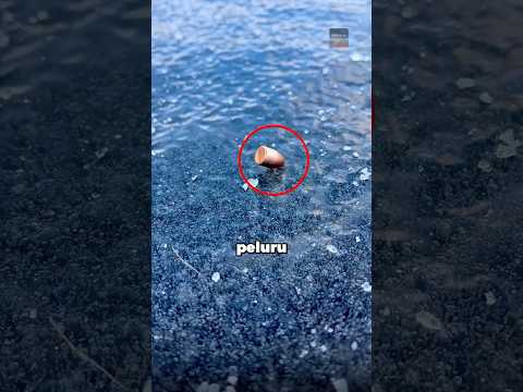 Mengapa Peluru Ini Berputar Di Atas Es‼️? thumbnail