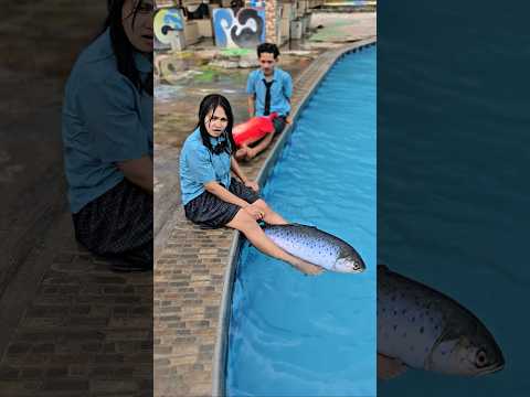 ikan kk mau di ajakin berenang #trandingshorts thumbnail
