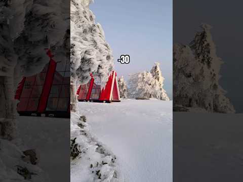 Buz İstilasında Kamp🥶 thumbnail