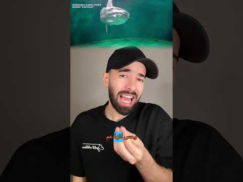 حوض مائي في اليابان يصنع دمى بشرية… لإنقاذ سمكة الشمس من الوحدة thumbnail