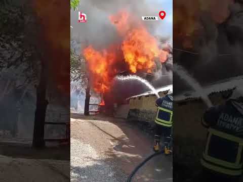 Adana'da korkutan yangın! Yayla evinde çıkan yangında alevler ormana ulaşmadan söndürüldü! #shorts thumbnail