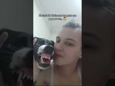Cachorro Morde - Porém, avisos não faltaram #cachorros #cães #pets #shorts #shortsfeed #cachorro thumbnail