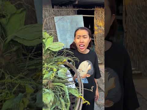 BÀ ĐAU BỤNG QUÁ #haibadane #shorts thumbnail