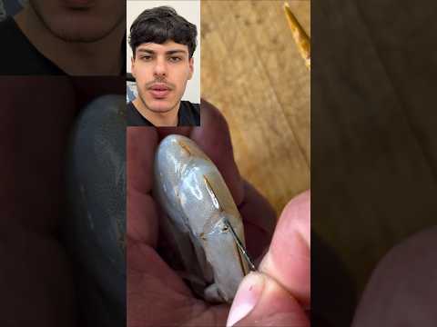 انتبه أن تاكلها بالغلط thumbnail