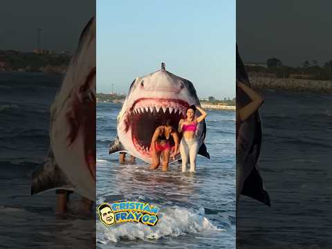 El megalodon 🦈 gigante #funny #humor #viralvideo thumbnail