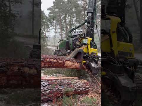🏆This Machine Doesn’t Care About Snow ❄️🌲 | John Deere 1270G #forest #harvester #johndeere #wood thumbnail