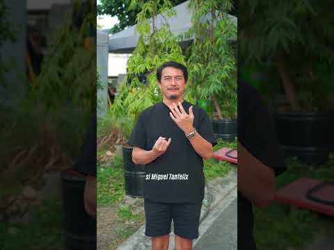 Taskforce Firewall: Dominic Ochoa as Franco Gaston | Online Exclusive thumbnail