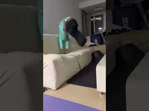 Oh My Gad😰Wait For end🥹Funny Dog Looks so Embarrassed😂 #usa #newyork #animals #funny thumbnail