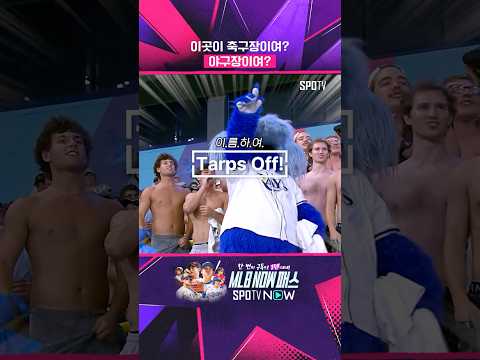 지금 MLB에서 난리 난 '단체 상의 탈의' 응원의 정체 #Shorts thumbnail