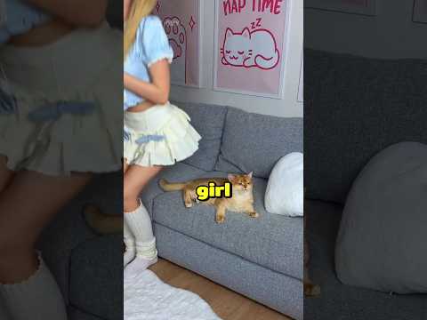 She Mocked the cat ... then this happened 😱/ #shortsvideo #viralvideo thumbnail