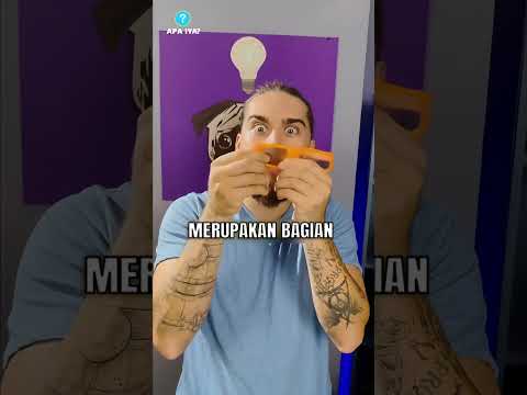 Jangan Lakukan Ini Pada TV Baru! thumbnail