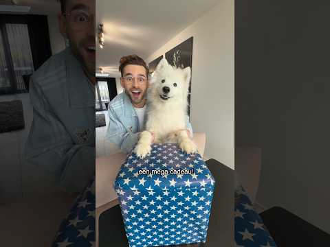 Paco krijgt een mega cadeau! 😱 thumbnail