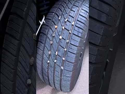 CUTE//  Vật dụng làm sạch bánh xe khi mắc sỏi🚗😵 💫😱🤣😍  #funny #cat thumbnail