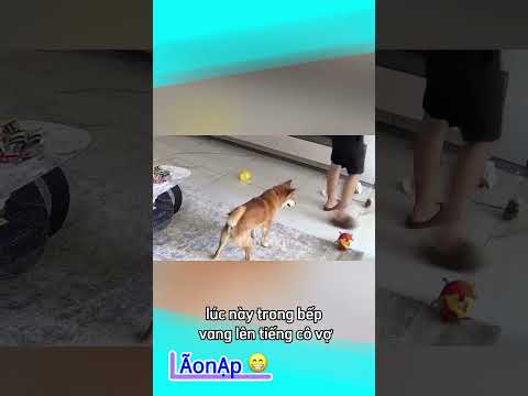 Nỗi lòng của Lu 😅 #laonap thumbnail
