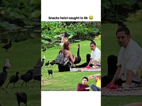 Snacks heist caught in 4k 😂 thumbnail