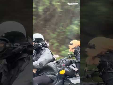 Met a girl and her "exclusive knight" on the road today! 🐶🏍️ #dogrider #funny #motovlog thumbnail